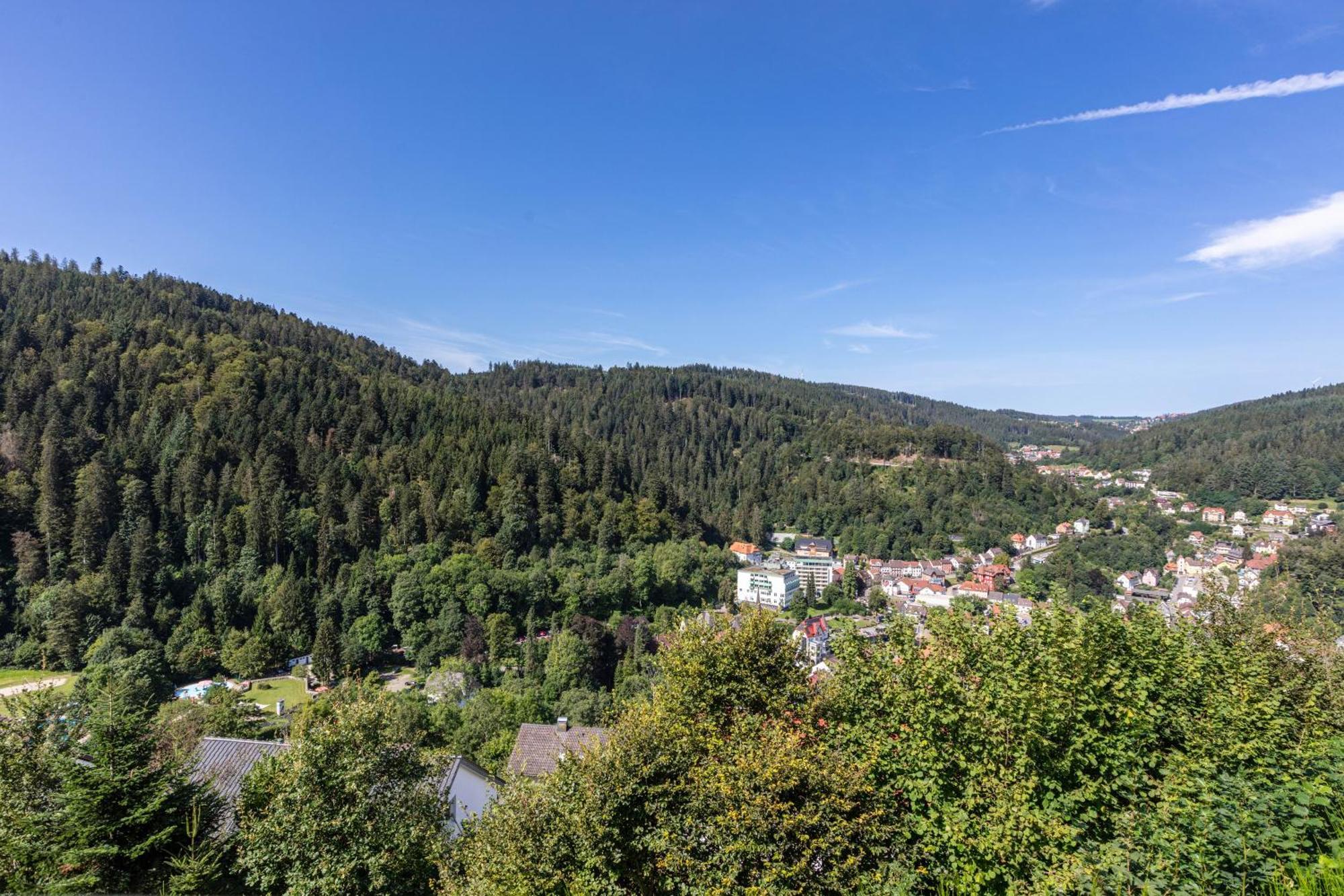 Апартаменти Triberg Blick Triberg im Schwarzwald Екстер'єр фото